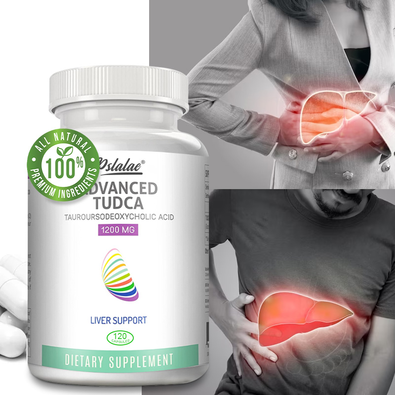 Ginkgo Biloba Extract - Capsule di fegato TUDCA-supporta la salute