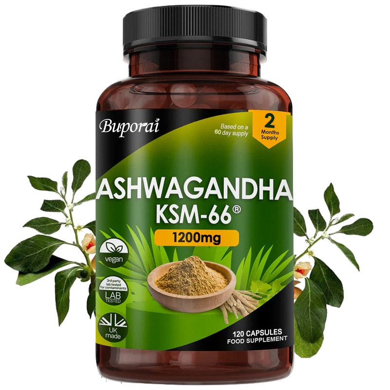 Ginkgo Biloba Extract - Estratto di radice di Ashwagandha KSM-66