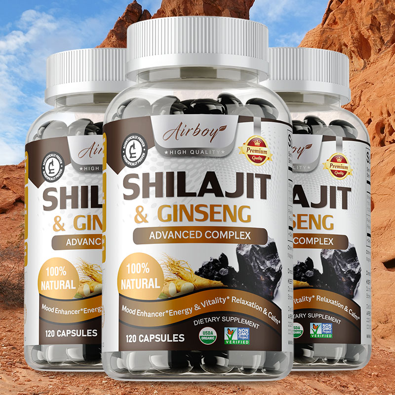 Shilajit & Ginseng - Supporto  - Ginkgo Biloba Extract recensione e prezzo