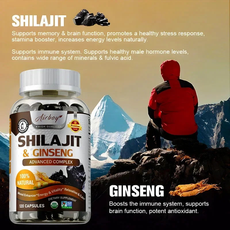 Shilajit & Ginseng - Supporto  - Ginkgo Biloba Extract recensione e prezzo