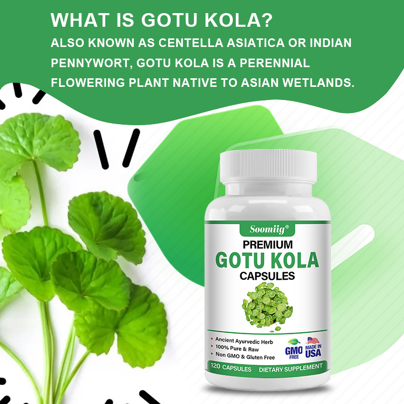 Capsule di Gotu Kola 1300mg -  - Ginkgo Biloba Extract recensione e prezzo